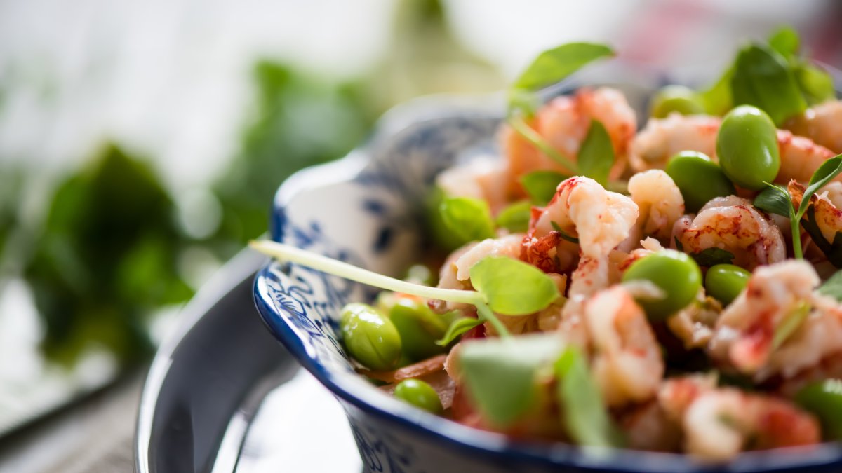 Proteinrik sallad - Atkinsdieten fokuserar på protein och fett